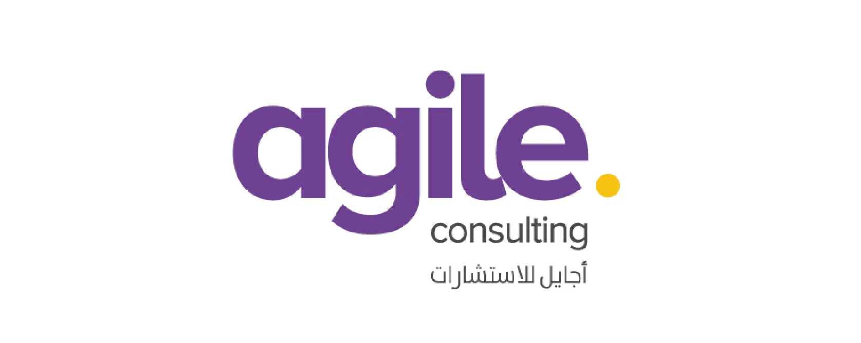 Agile Consulting